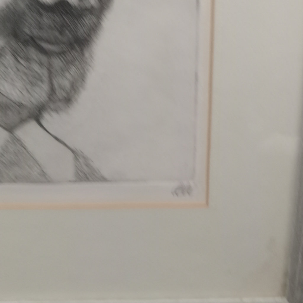 Untitled / Ali Web Woodcut Print - image 4 of 6