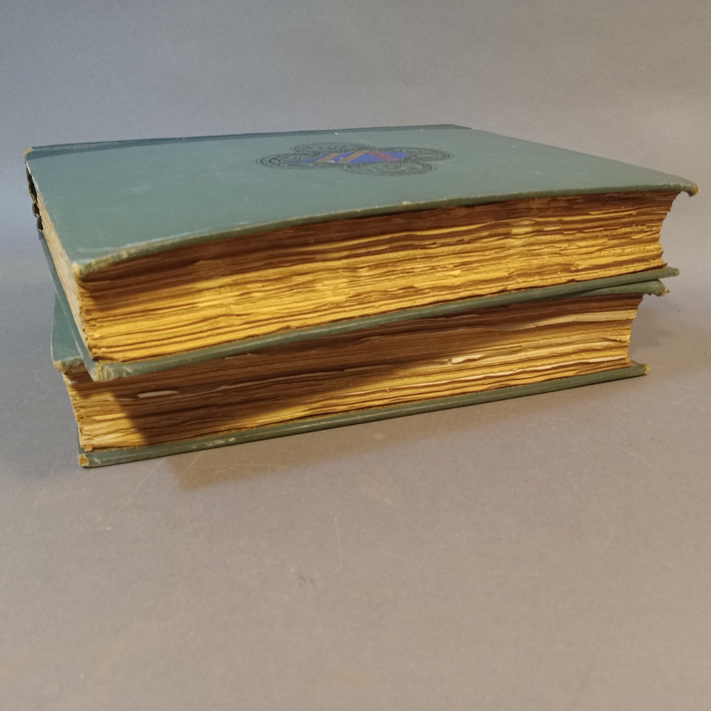 The Life of Michelangelo / Charles Scribner's Sons 1893 - image 4 of 17