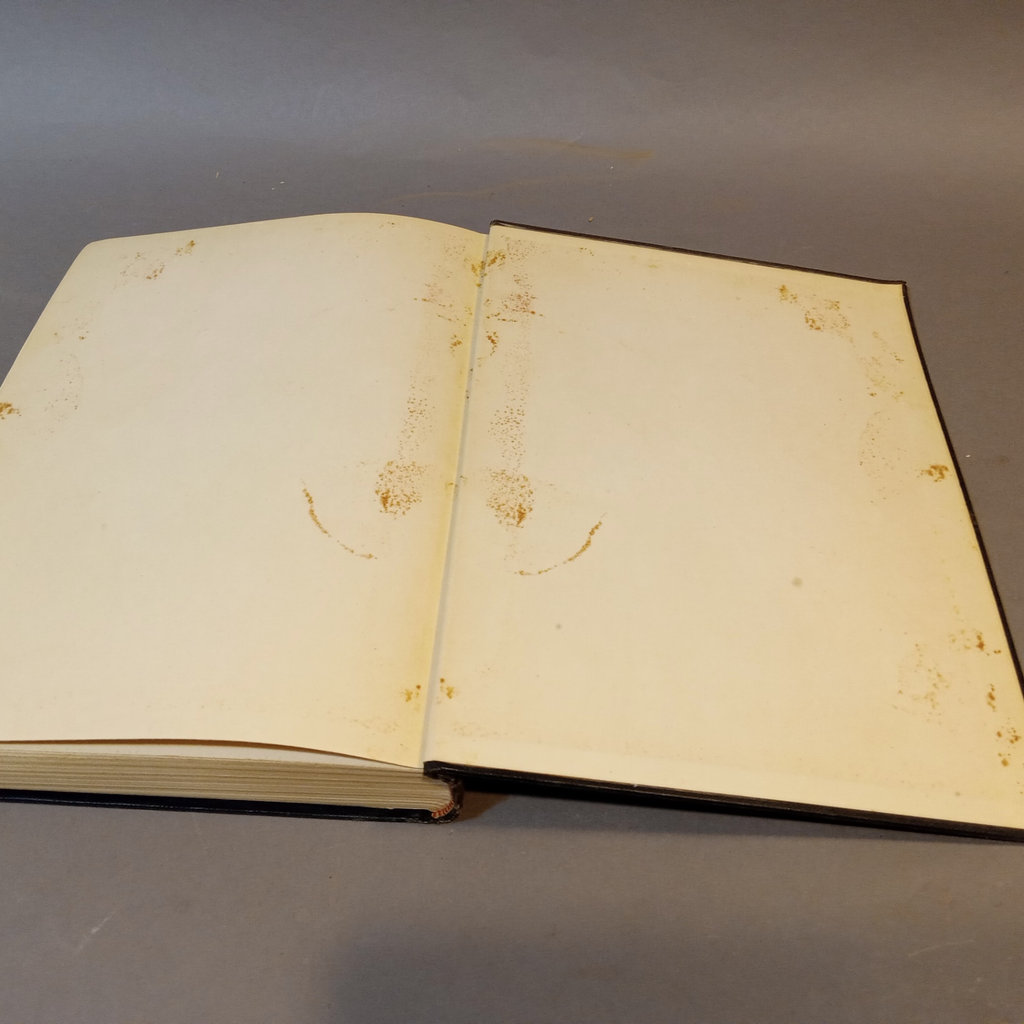 Stevenson, Burnett Books from Charles Scribner's Sons - image 13 of 20
