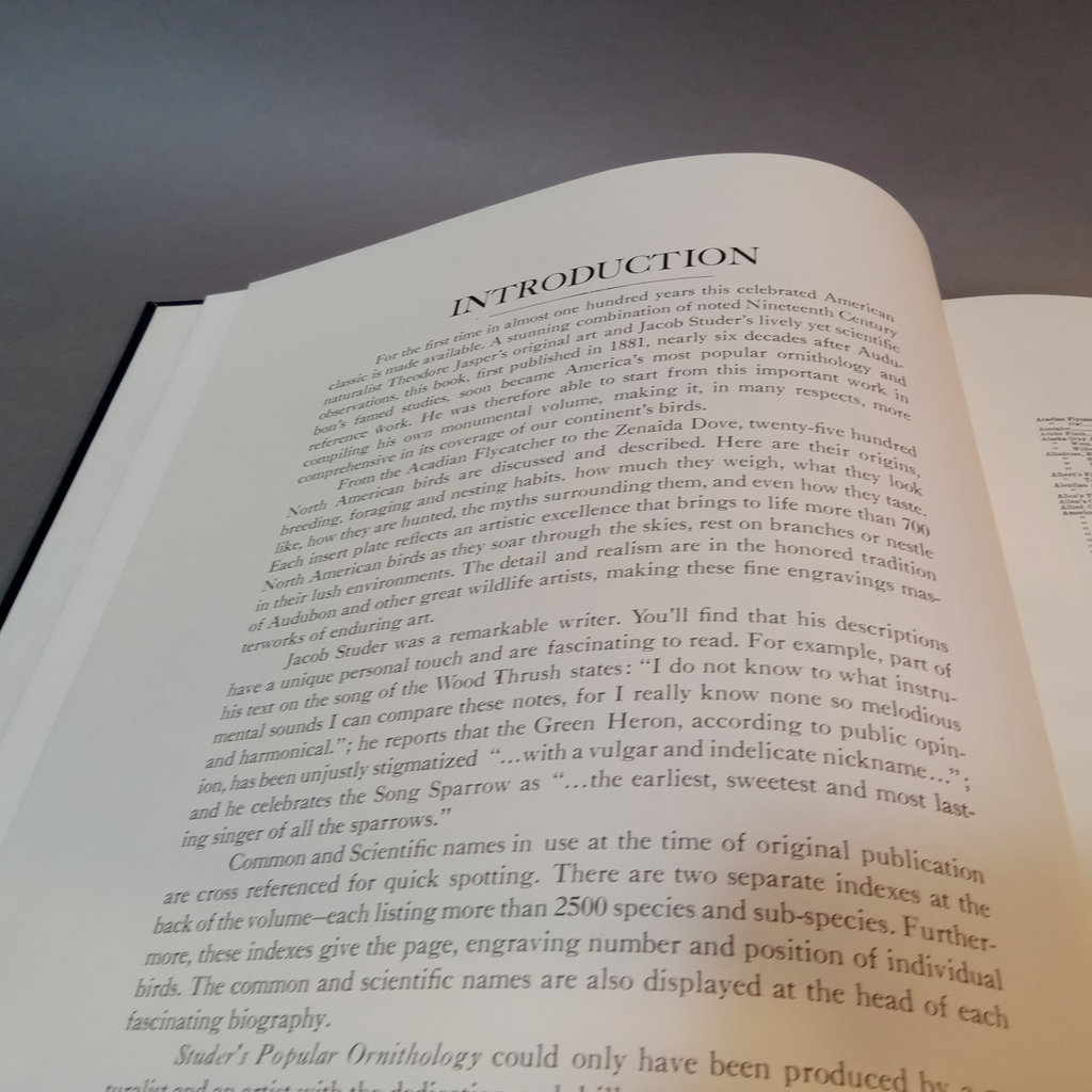 Studer's Popular Ornithology / Oversize Book - image 5 of 9