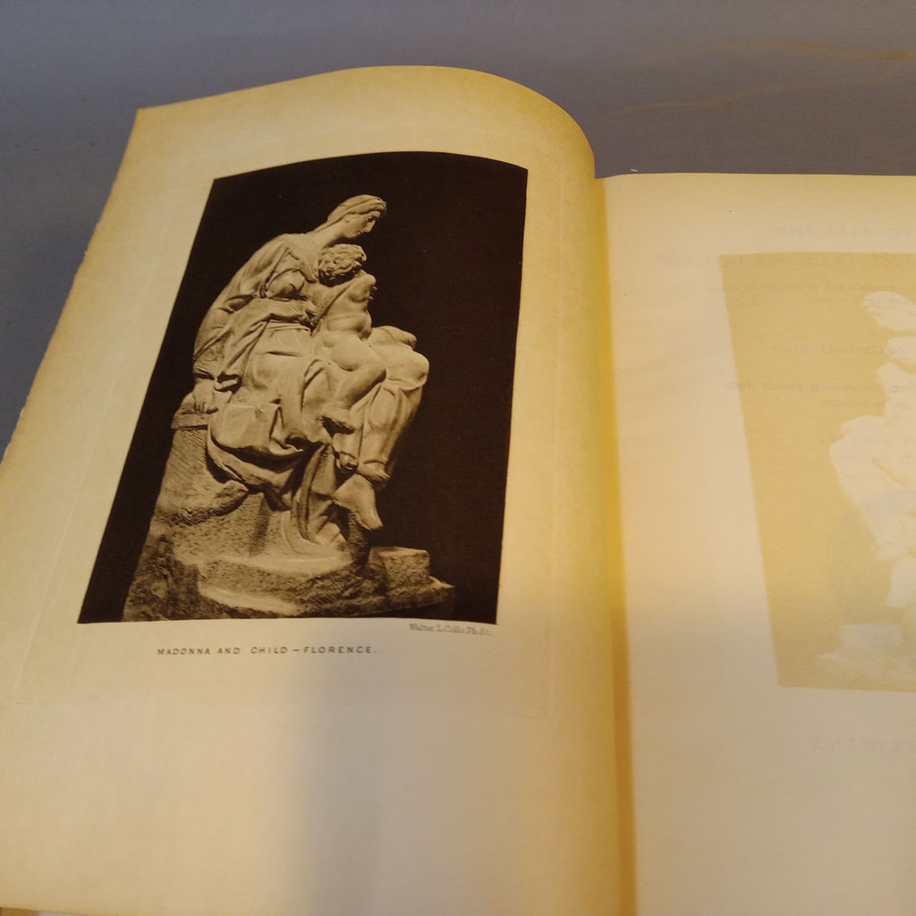 The Life of Michelangelo / Charles Scribner's Sons 1893 - image 13 of 17