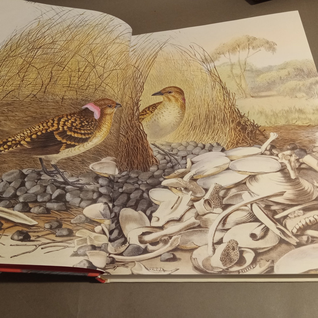 For the Bird Watchers - image 3 of 10