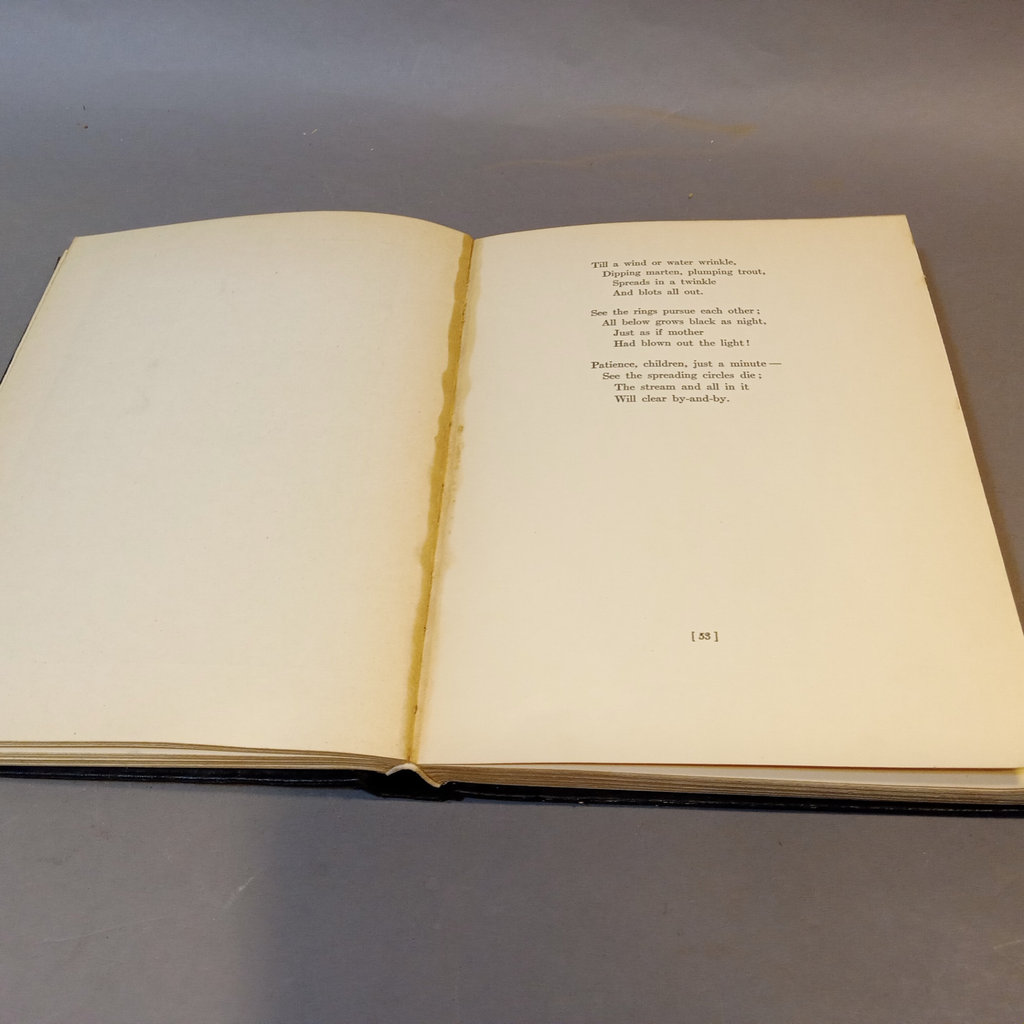 Stevenson, Burnett Books from Charles Scribner's Sons - image 7 of 20
