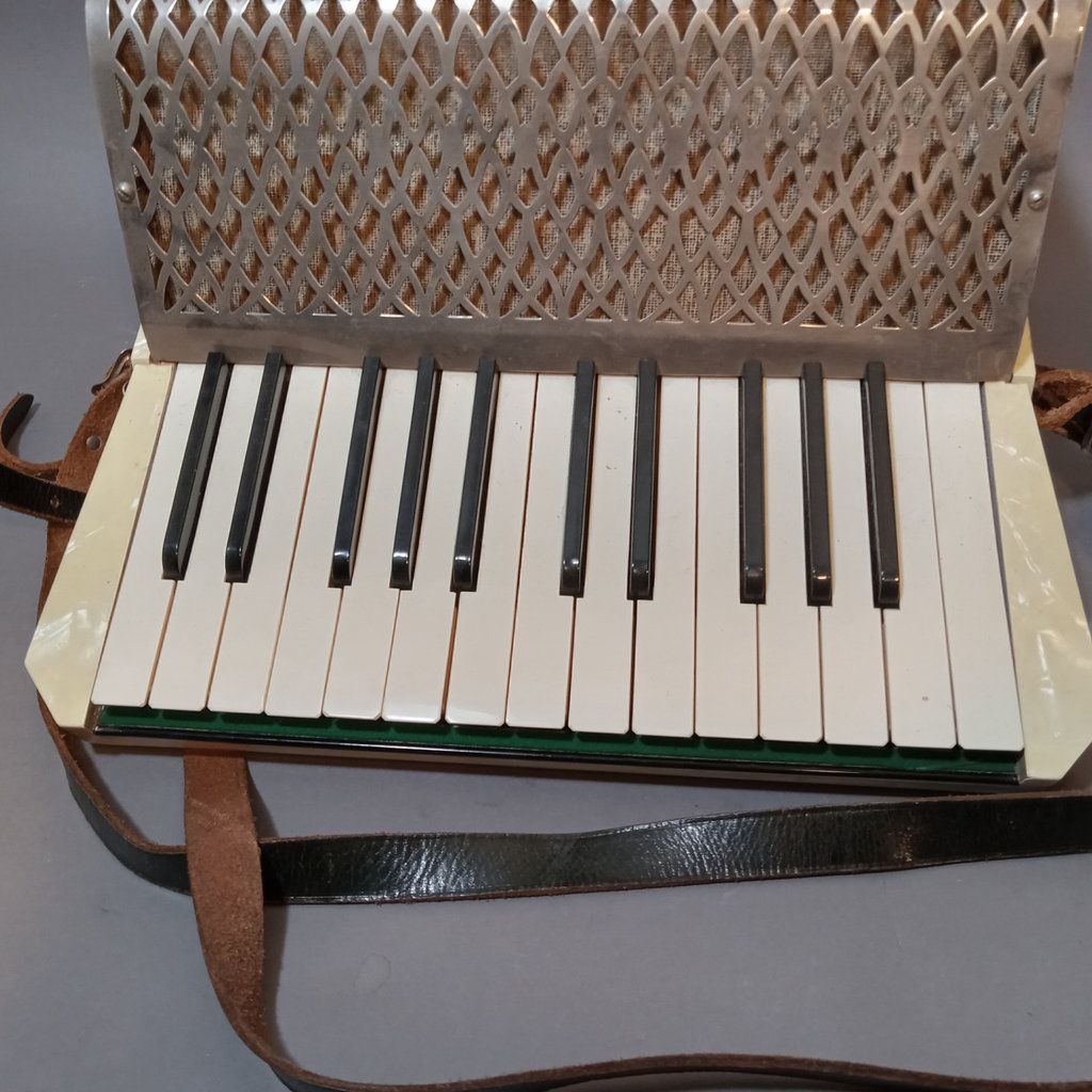 Hohner Student III Accordian - image 4 of 17