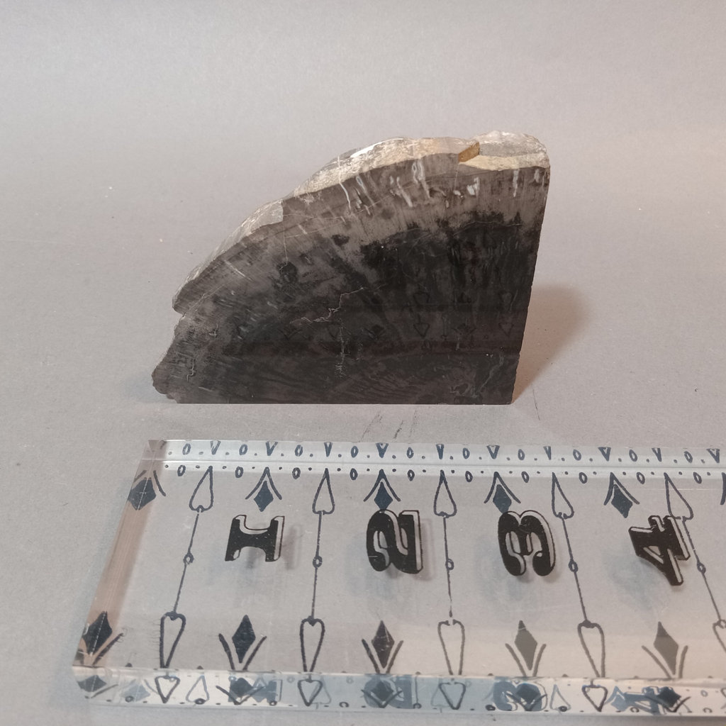 Vintage Rock Collection - image 18 of 25