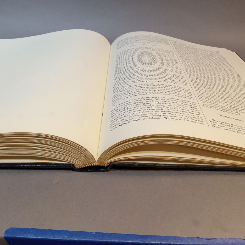 Studer's Popular Ornithology / Oversize Book - image 7 of 9