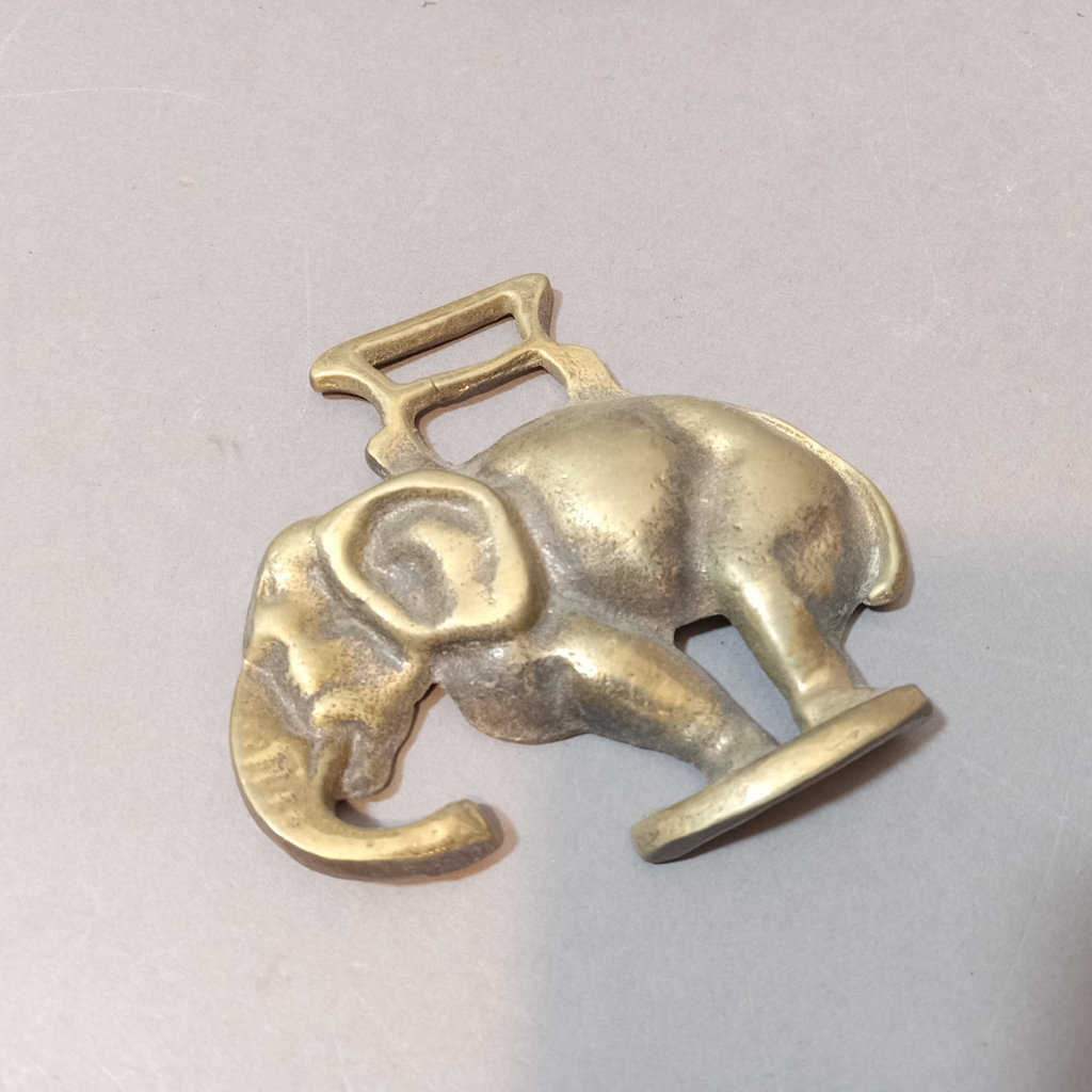 Elephants on Parade - image 6 of 17