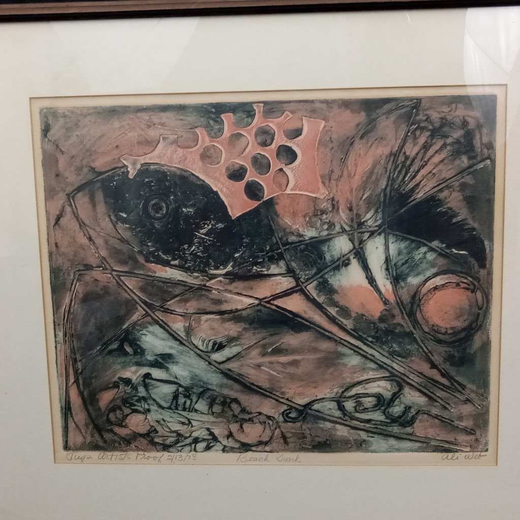 Beach Junk / Ali Web Framed Woodcut Print - image 1 of 8