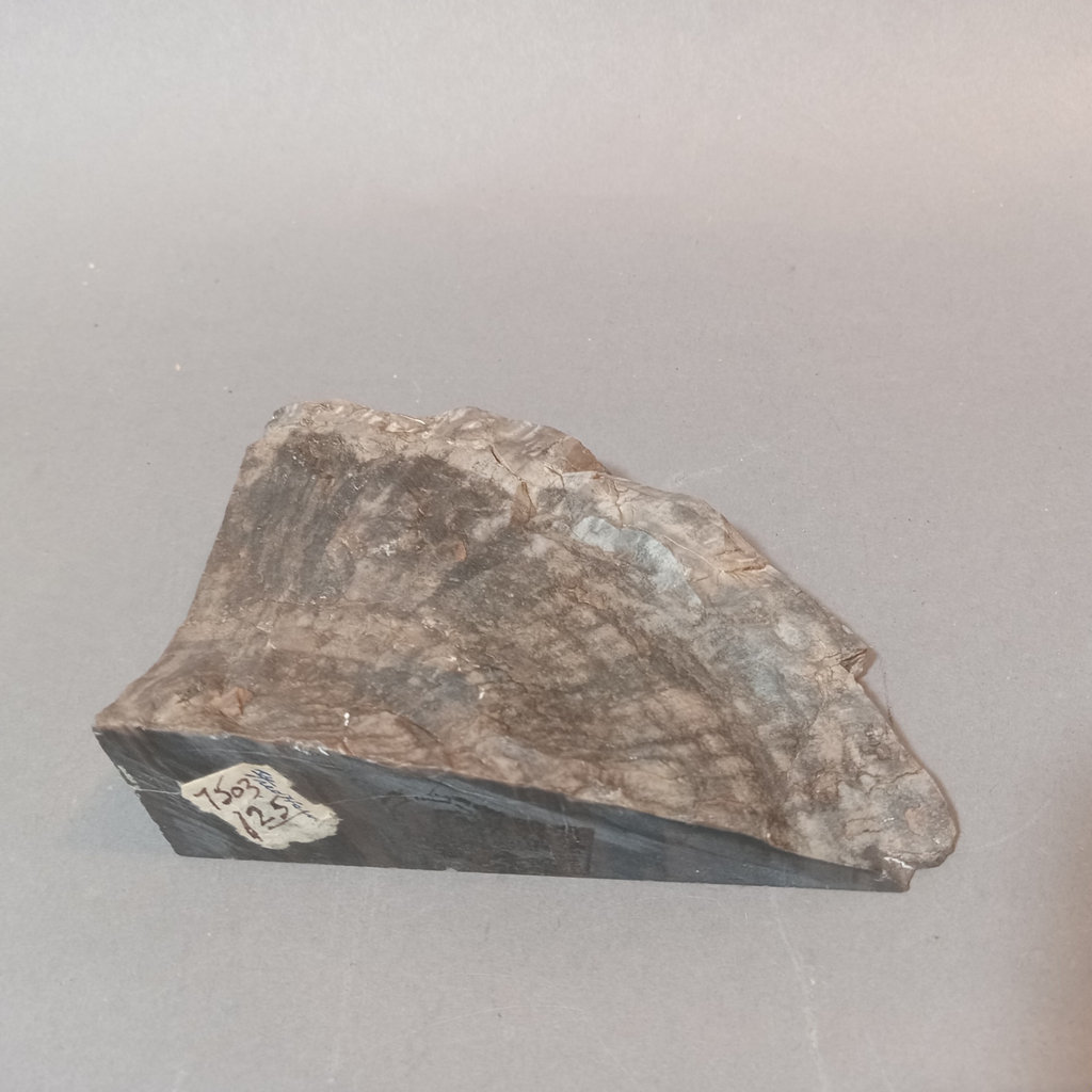 Vintage Rock Collection - image 21 of 25