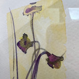 Lou LaCroix Original Watercolour Painting Signed Algoma Moon - thumbnail 5 of 5