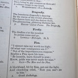 1800s Book the Cyclopedia of Practical Quotations Big Victorian Embossed Cover - thumbnail 9 of 13
