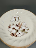 Vintage Heartside Stoneware China - thumbnail 4 of 6