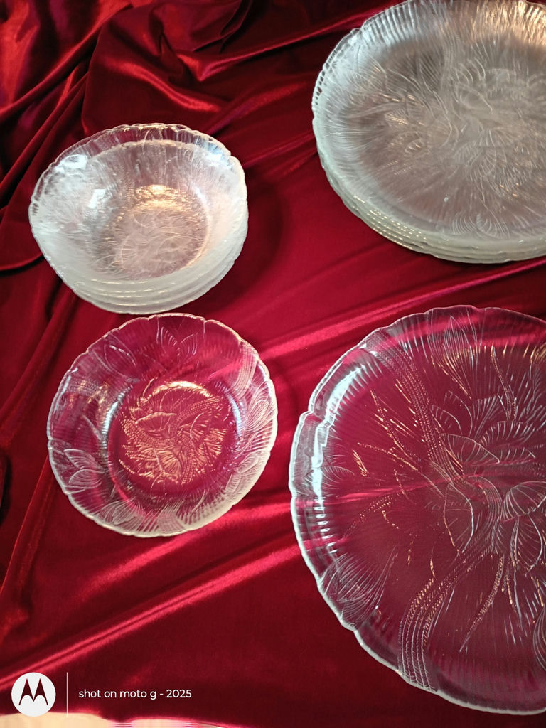 Arcoroc Glass Dinnerware Set - image 5 of 8