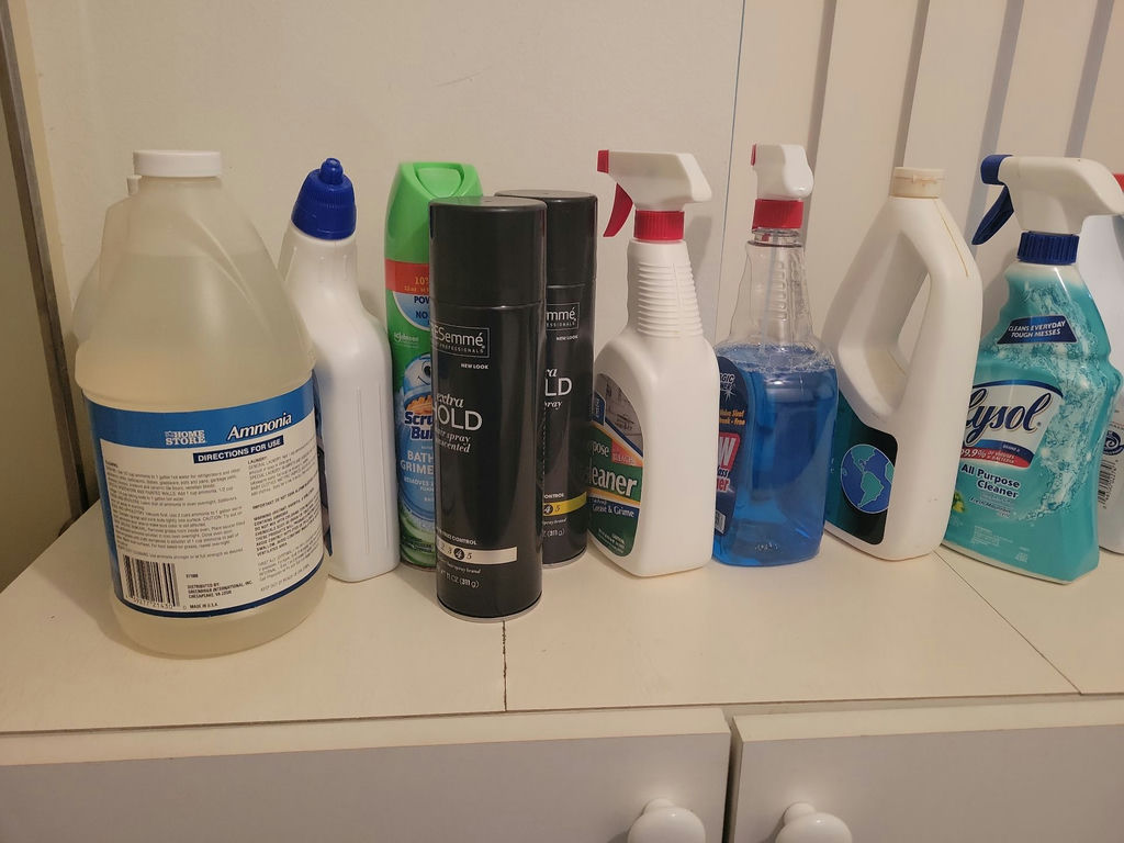 Assorted Household Cleaning and Laundry Supplies - image 3 of 4