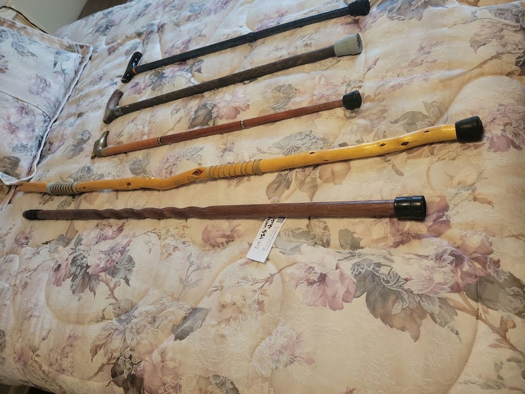 Collection of Walking Canes and Walking Sticks - image 3 of 6