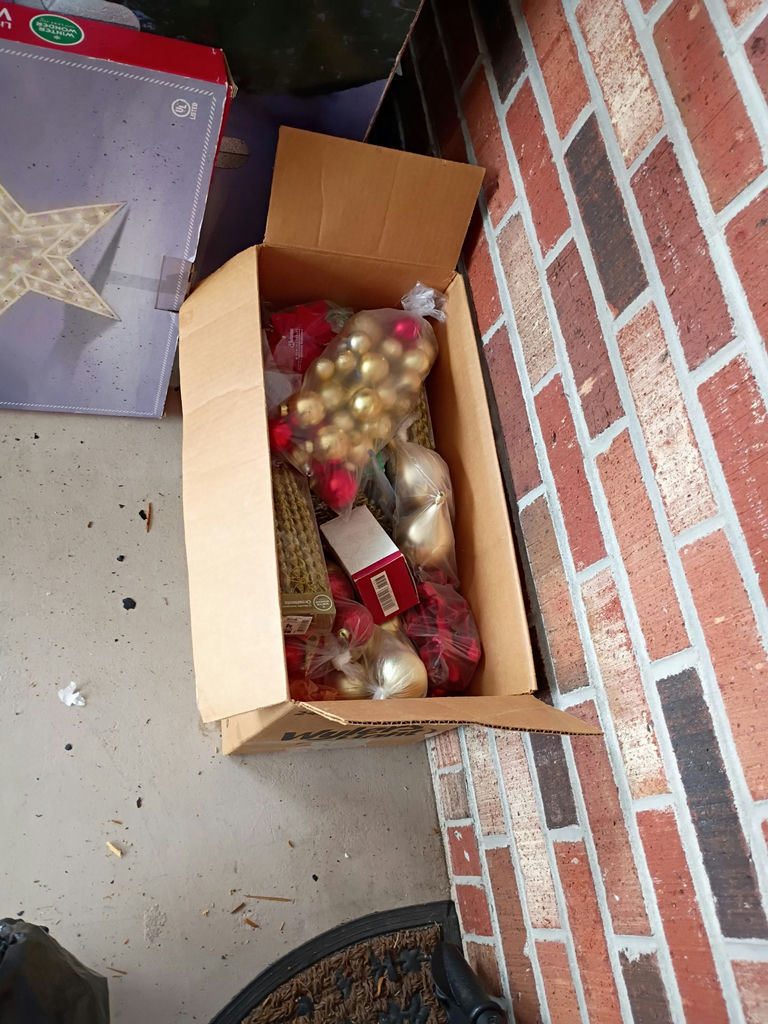 Holiday Light Decorations and Christmas Ornaments - image 2 of 4