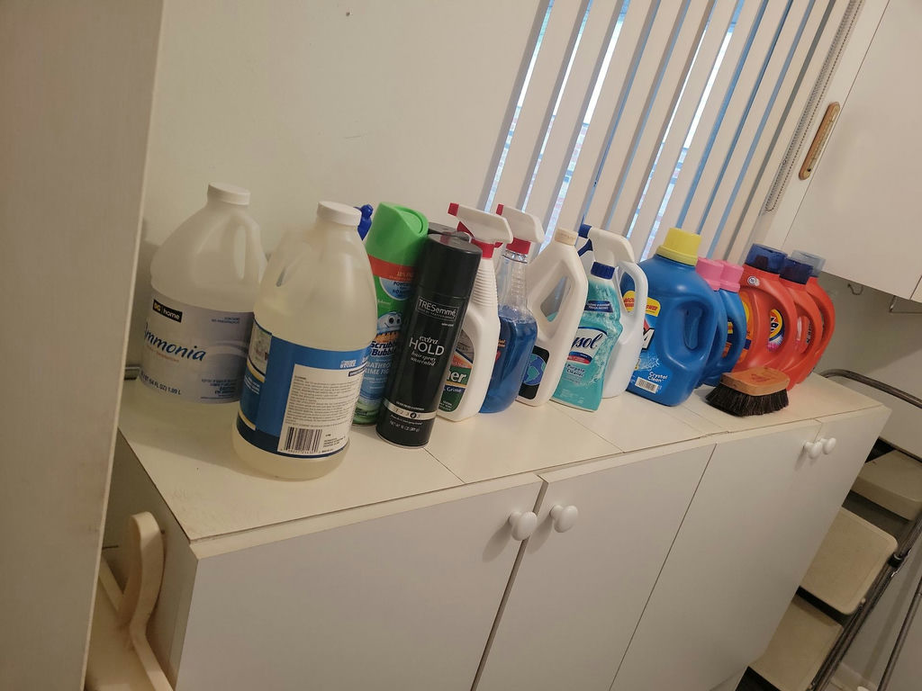 Assorted Household Cleaning and Laundry Supplies - image 1 of 4