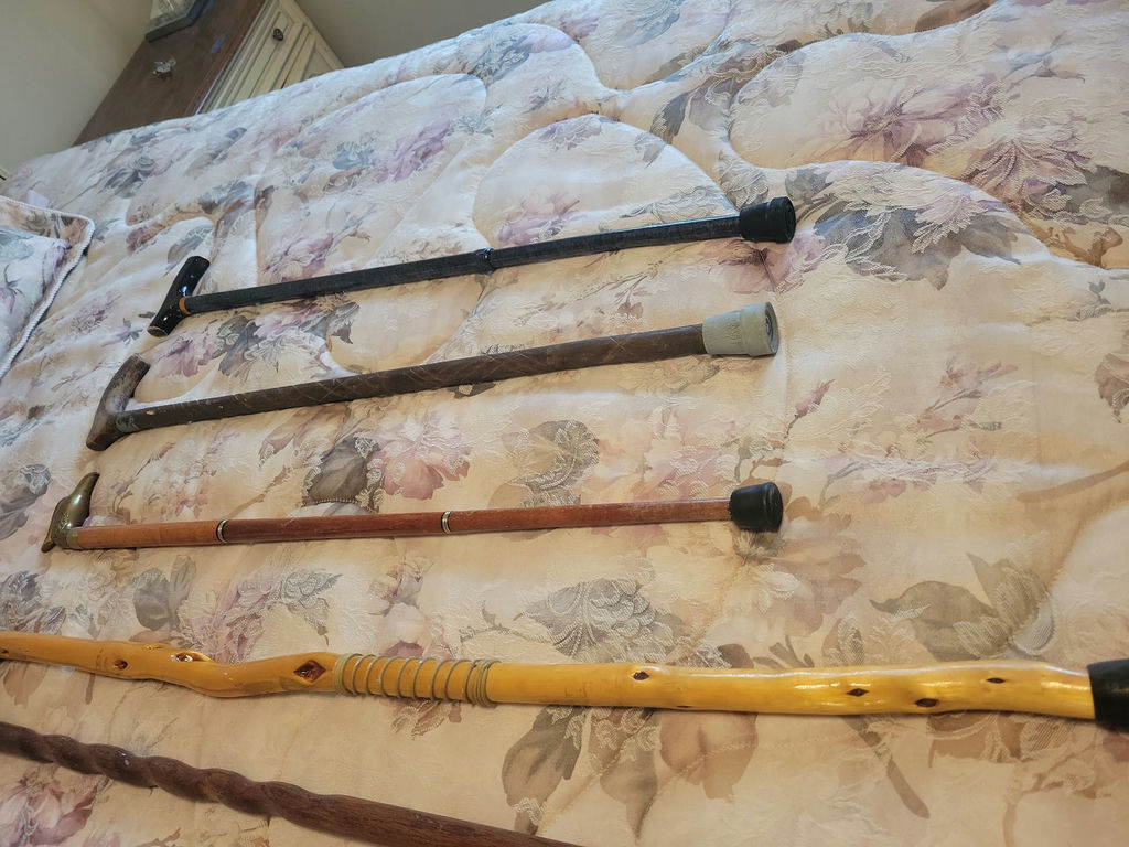 Collection of Walking Canes and Walking Sticks - image 4 of 6
