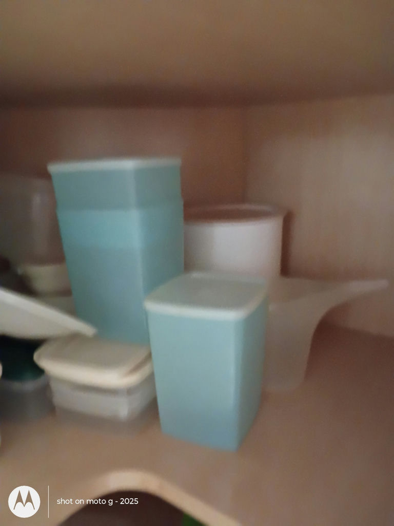 Assorted Plastic Food Storage Containers and Canisters - image 3 of 3