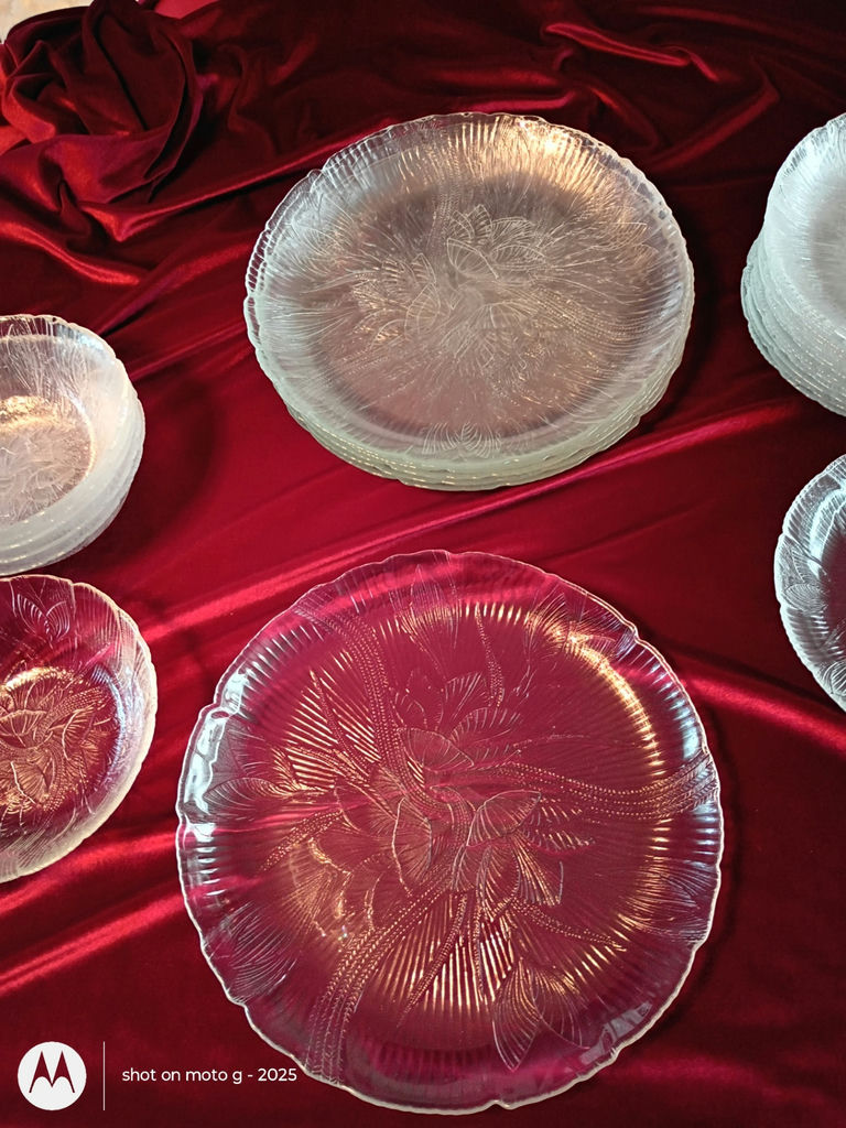 Arcoroc Glass Dinnerware Set - image 4 of 8