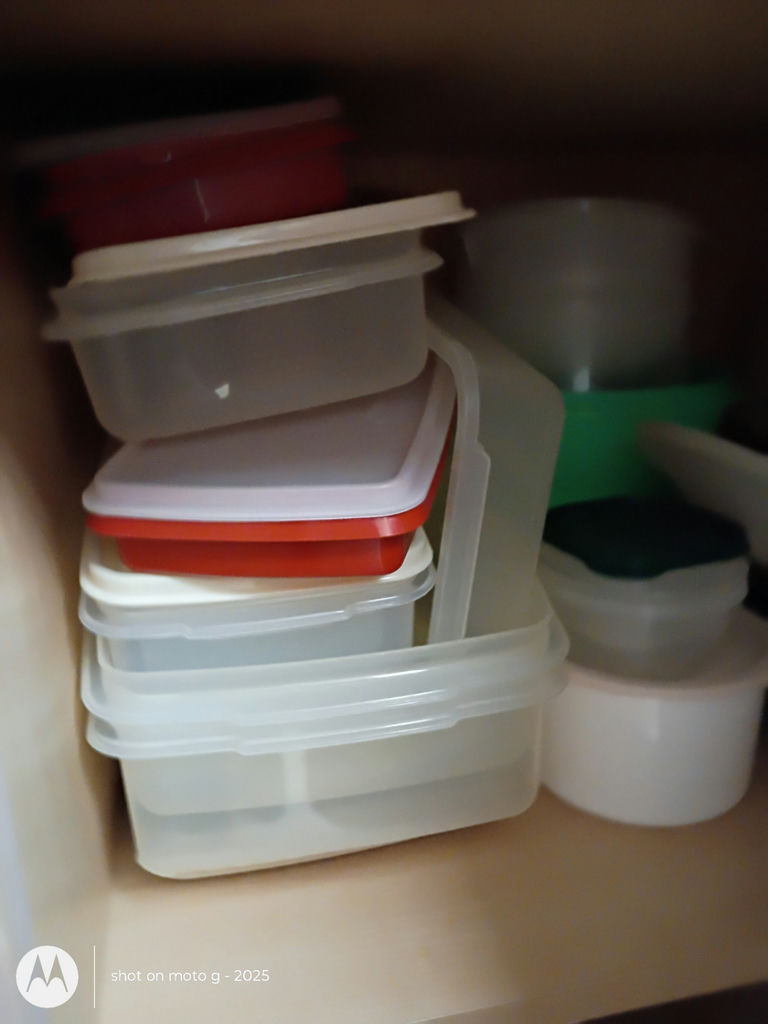 Assorted Plastic Food Storage Containers and Canisters - image 2 of 3