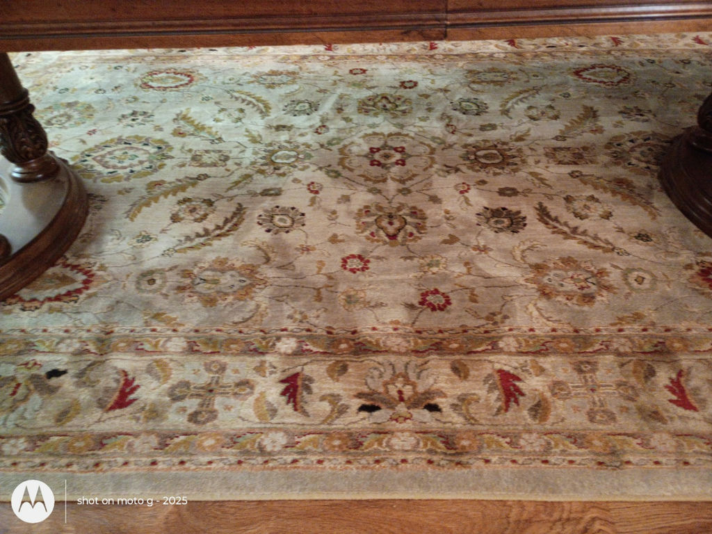 Patterned Area Rug - image 4 of 9