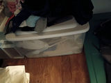 Assorted Women's Clothing and Storage Bins - thumbnail 5 of 9