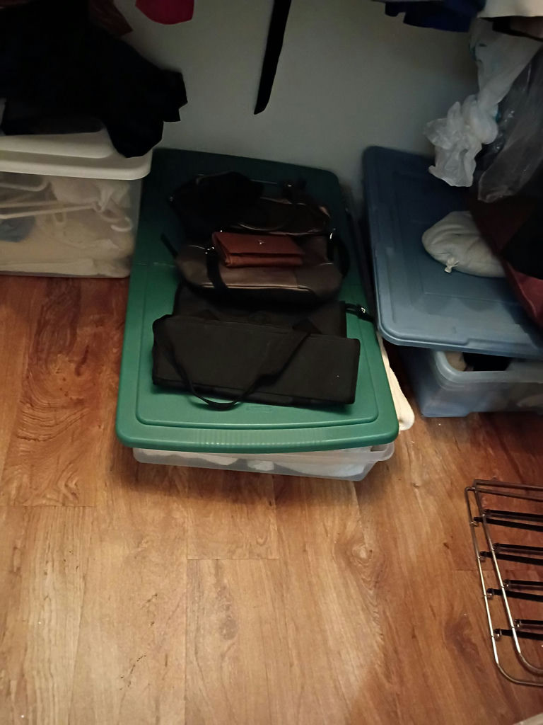 Assorted Women's Clothing and Storage Bins - image 6 of 9