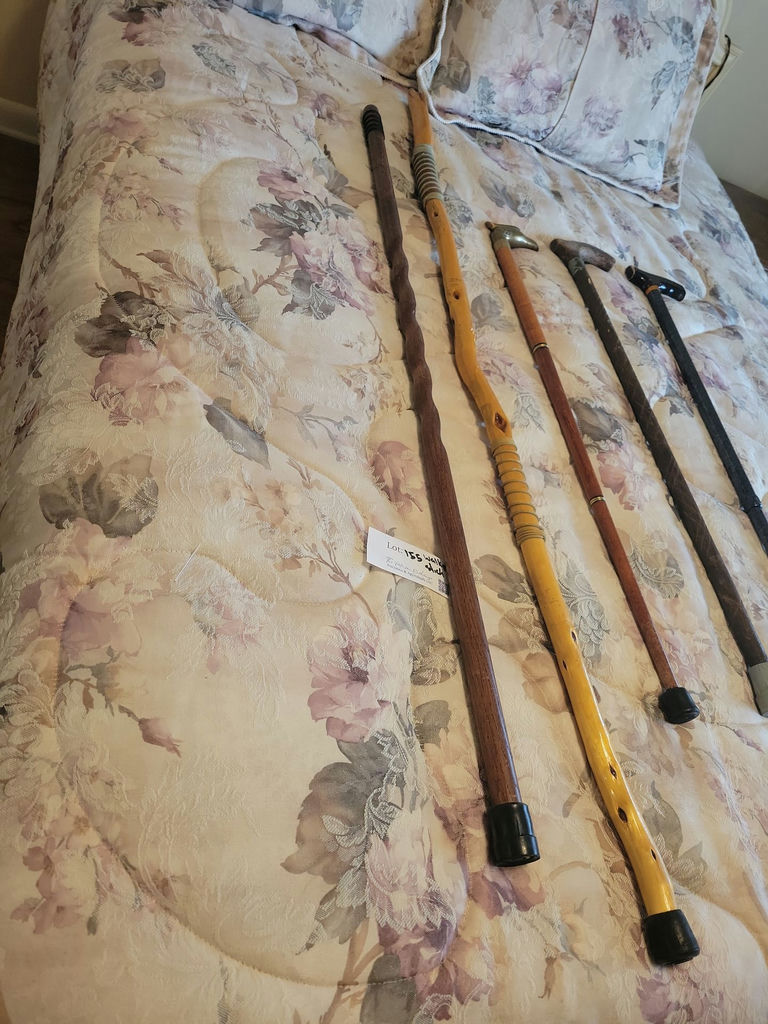 Collection of Walking Canes and Walking Sticks - image 2 of 6