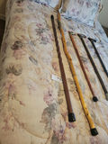 Collection of Walking Canes and Walking Sticks - thumbnail 2 of 6