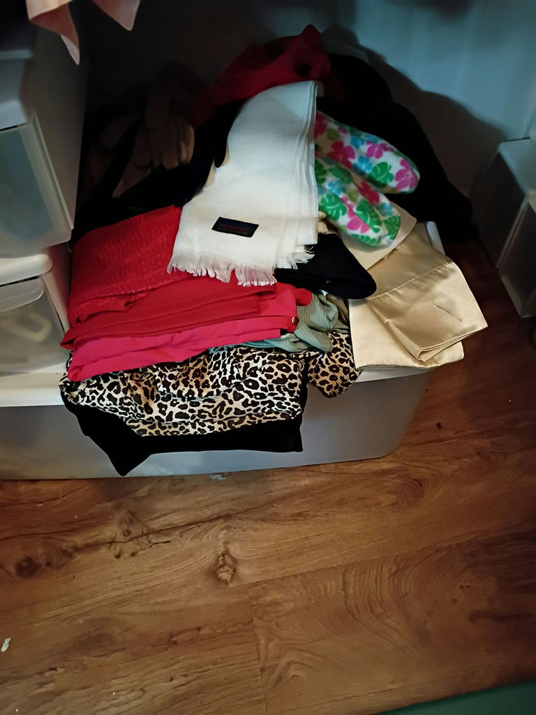 Assorted Women's Clothing and Storage Bins - image 3 of 9