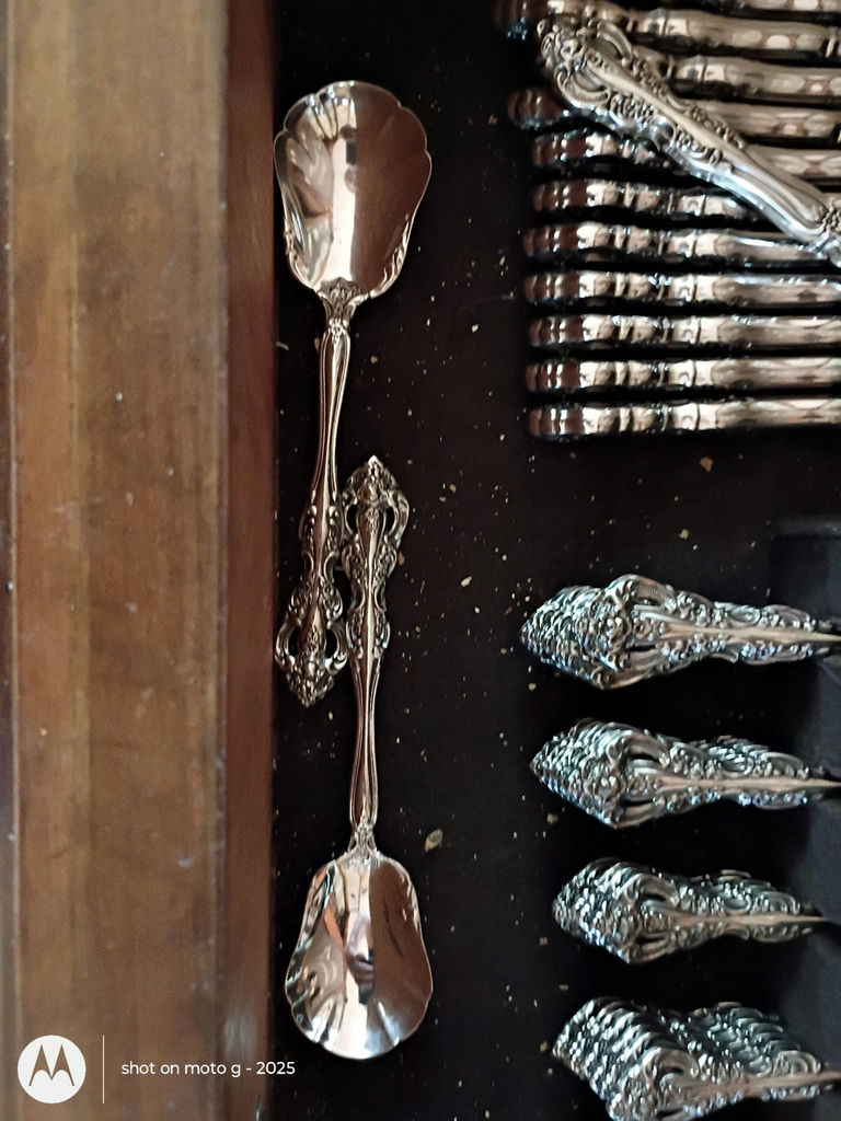 Ornate Silver-Tone Flatware Set - image 9 of 10
