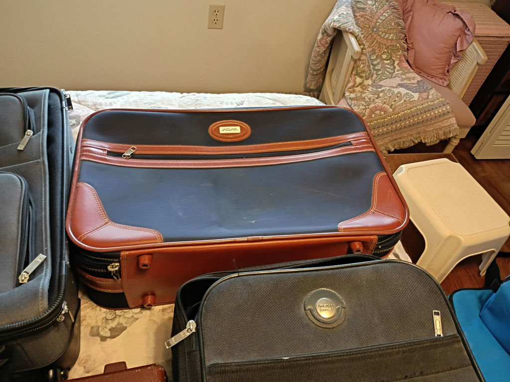 Assorted Suitcases and Travel Bags - image 6 of 7