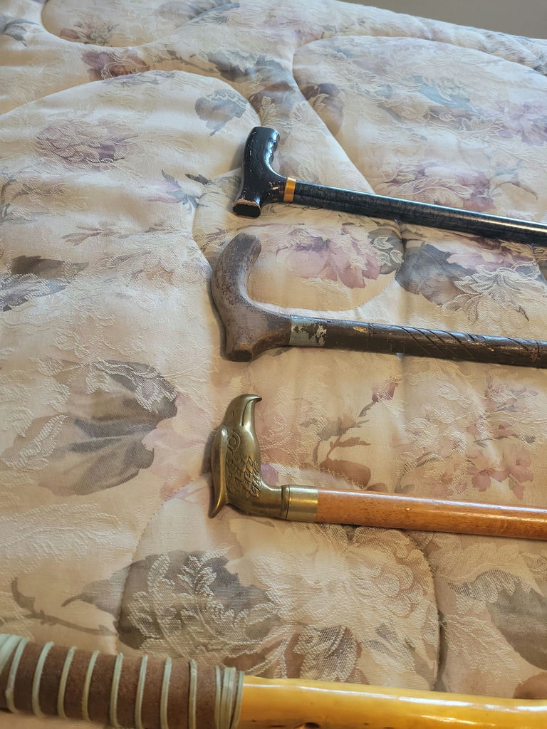 Collection of Walking Canes and Walking Sticks - image 5 of 6