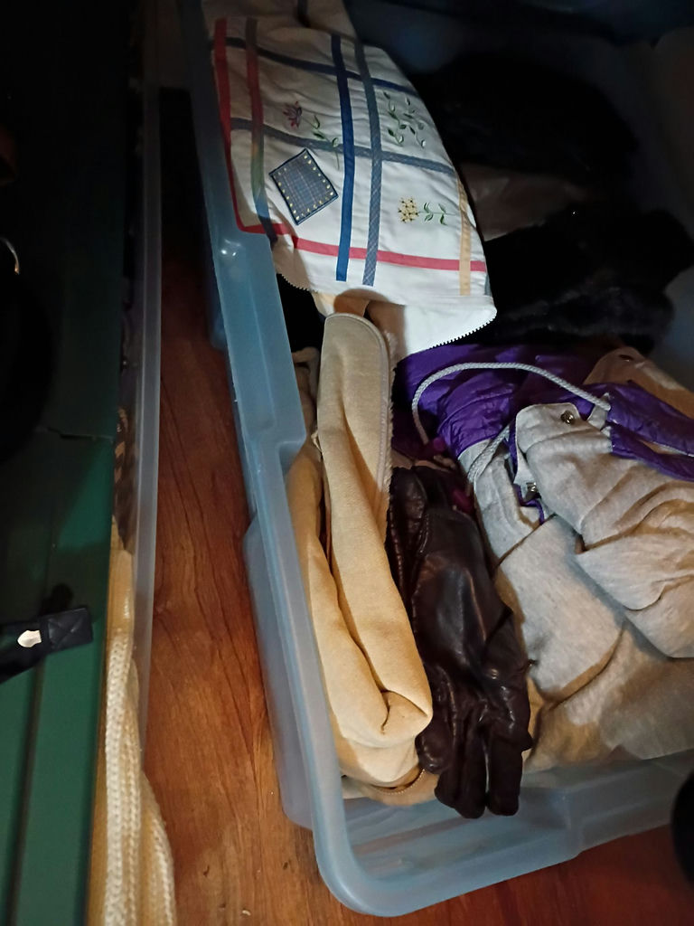 Assorted Women's Clothing and Storage Bins - image 8 of 9
