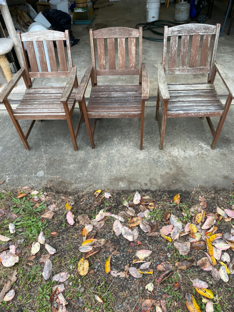 Set of Four Outdoor Chairs - image 1 of 6