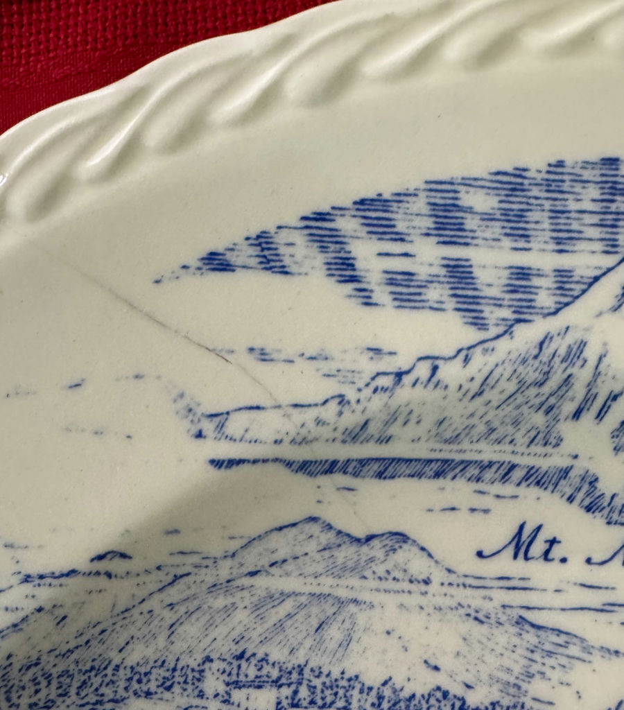 Americana Collectable Plate and Flag Set - image 13 of 15