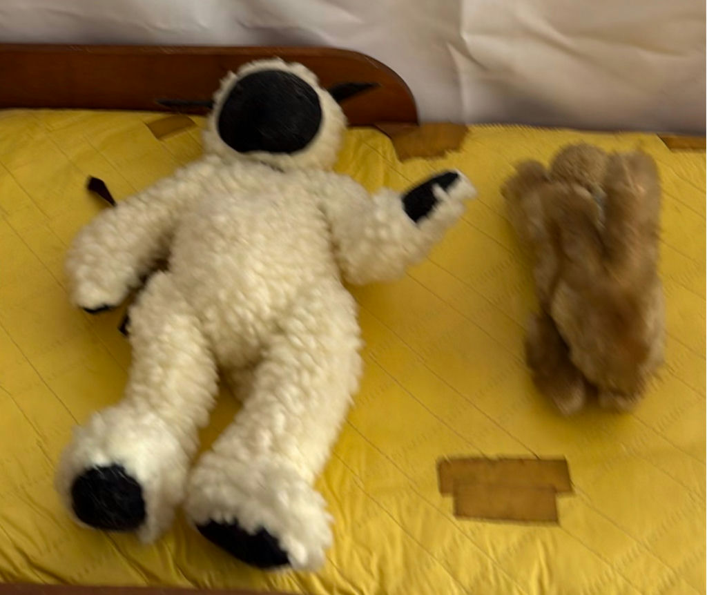 Vintage Dolls and Stuffed Animals - image 12 of 21