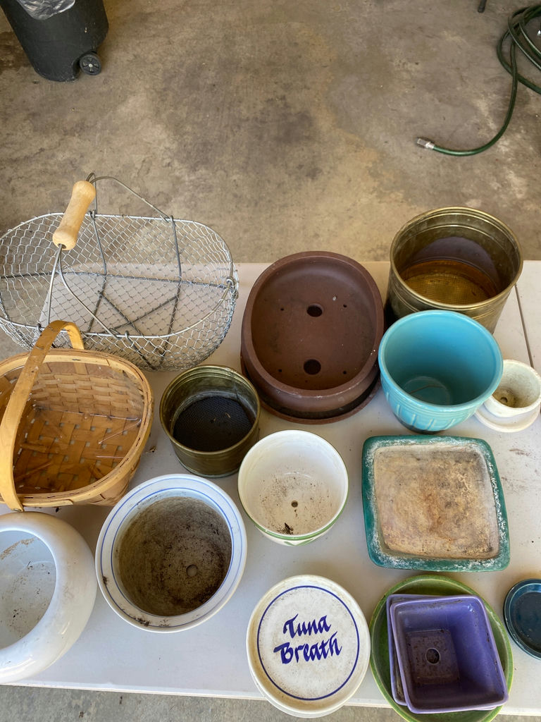 Assortment of Garden Pots, Planters and More - image 5 of 6