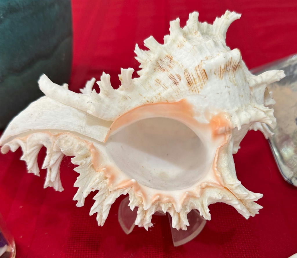 Seashells, vase, and decorative glass objects - image 2 of 6