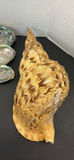 Seashells and Abalone Shells - thumbnail 6 of 8
