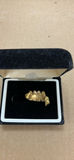 Gold Teeth - thumbnail 3 of 4