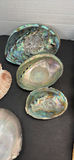 Seashells and Abalone Shells - thumbnail 5 of 8
