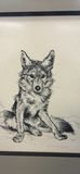 Framed Wildlife Drawings - thumbnail 2 of 13