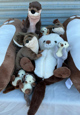 Otter Plush Toy Collection - Image 1 of 8