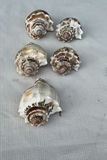 Random Fun Home Decor - thumbnail 5 of 6