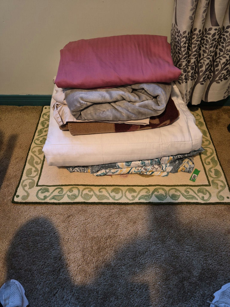 Assorted Bedding Linens and a Rug - image 1 of 4
