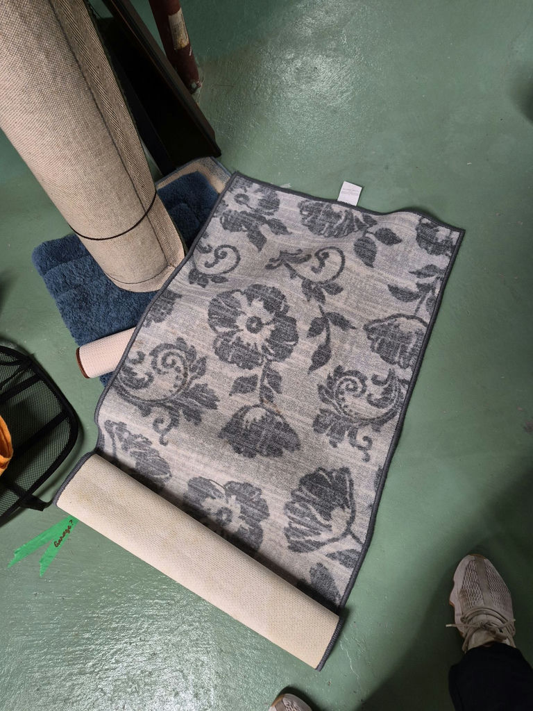Assorted Area Rugs and Cleaning Accessories - image 1 of 5