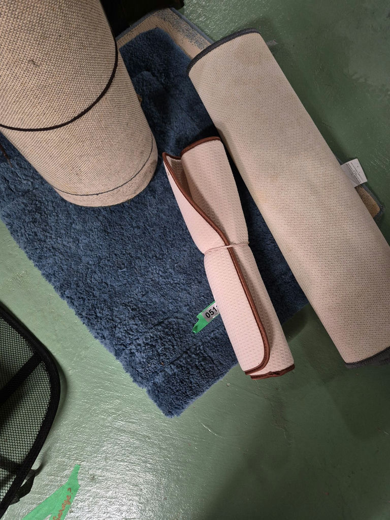 Assorted Area Rugs and Cleaning Accessories - image 3 of 5