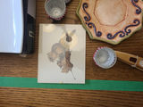 Assorted Home Decor - thumbnail 3 of 11